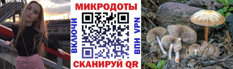 магазин продажи   Починок  Псилоцибиновые грибы мицелий 